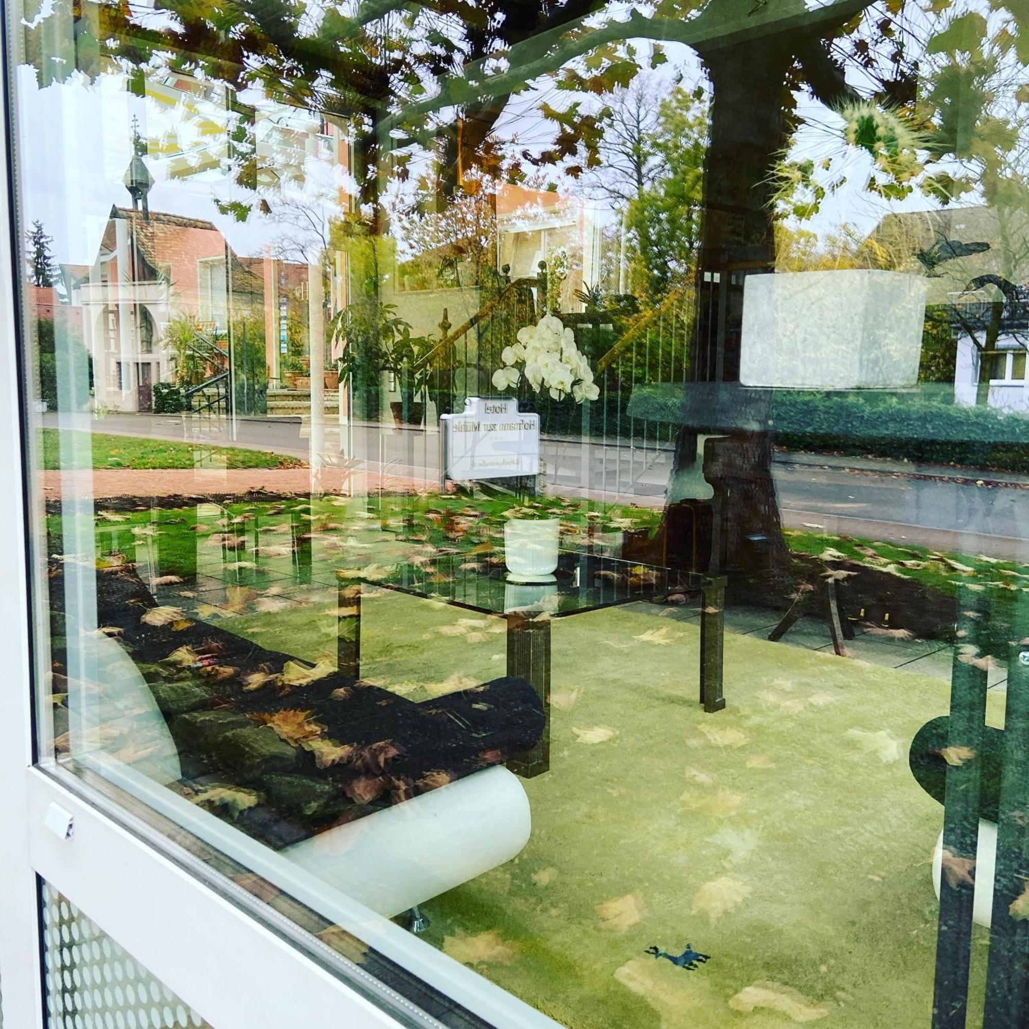 Hotel Hofmann Zur Muehle باد كروزنغن المظهر الخارجي الصورة